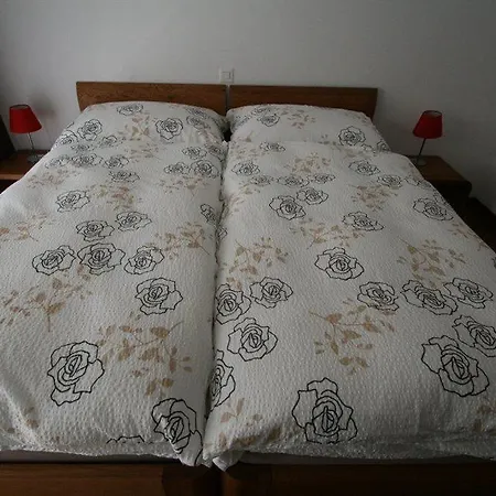 דירה Haus Colosseo By Premium צרמט