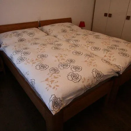 Haus Colosseo By Premium Apartmán Zermatt